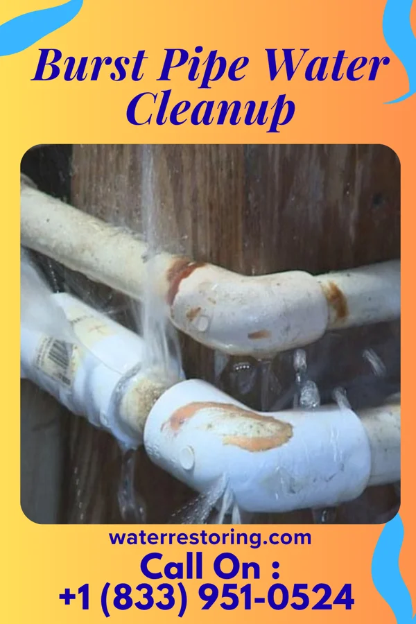 Burst Pipe Water Cleanup in High Springs, FL
