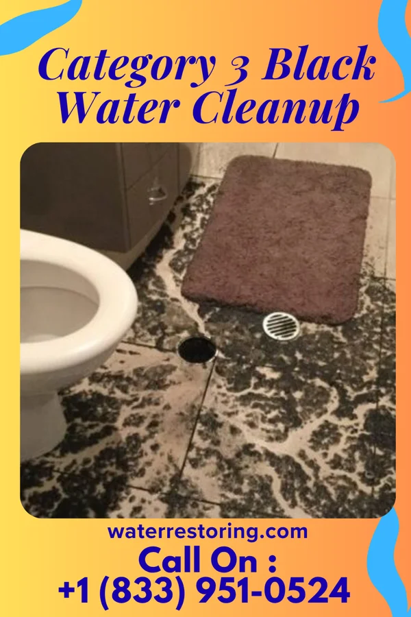 Category 3 Black Water Cleanup in High Springs, FL